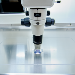 phoca_thumb_m_labox_heatingsurface_microscopeintegration Fotogal&eacute;ria